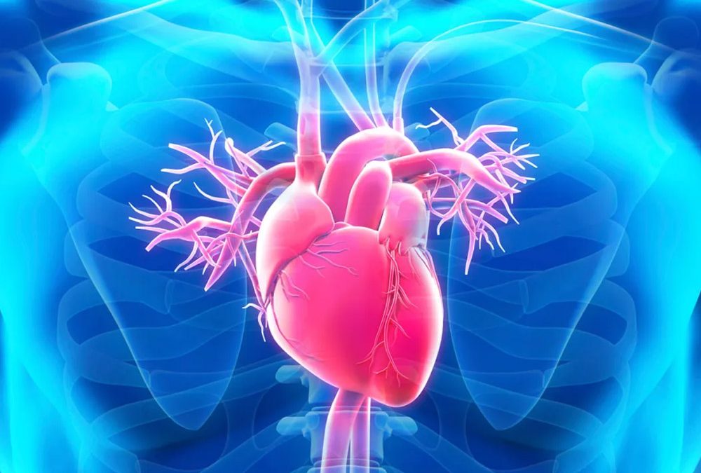 Prolapso da válvula mitral: conheça os sinais, diagnóstico e tratamento